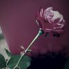 estory8411