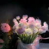 catus035