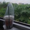 priakesepian_420