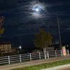 mgwpj976