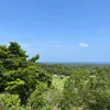 okinawa.daisukiman