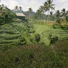 dumantoro