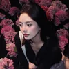 kimthao_05202