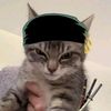 mustafavlr