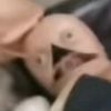 vcionew