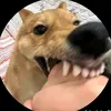 trucmai210804