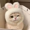 jajar_l