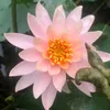 thuan220992