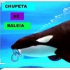 chupetadebaleiaassassina