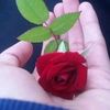 shahgull305