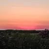 alebanti_11