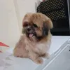 macmacaisa
