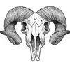ocaqurii