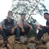 dinhluan171198