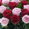 venkat116862