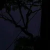 thereisnohappiness_