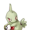 apple_ster