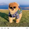 kdtpawt