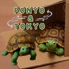 ponyoandtokyo