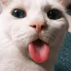 deeefghi