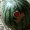 dy3bbivsrdy5