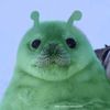 stinkycoolguy