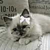 al_aliya8