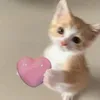 nthuyyyyy