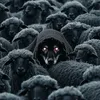 _mnrlkcsc_82