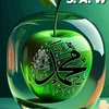 user5820096