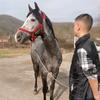 emir._.rustem2009