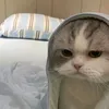 cafemochaa