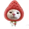 mlcutephomaique123