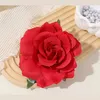 mizz.shezadi_raja