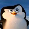 pororo_burung