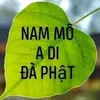 user4859761041751