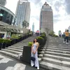 vien_renz