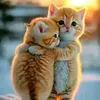 maha_meru99