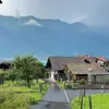 amirahfh