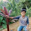 fhatan41