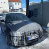 leo_n061