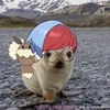 pennys.eevee.farm