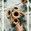 meera_1258