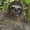 mr.sloth420