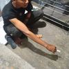 isaleho79