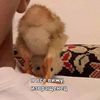 lesbiii_dasha