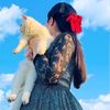 aashiii337