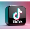 TikTok Shop