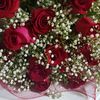 user8662029961119