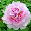 xuxu01234